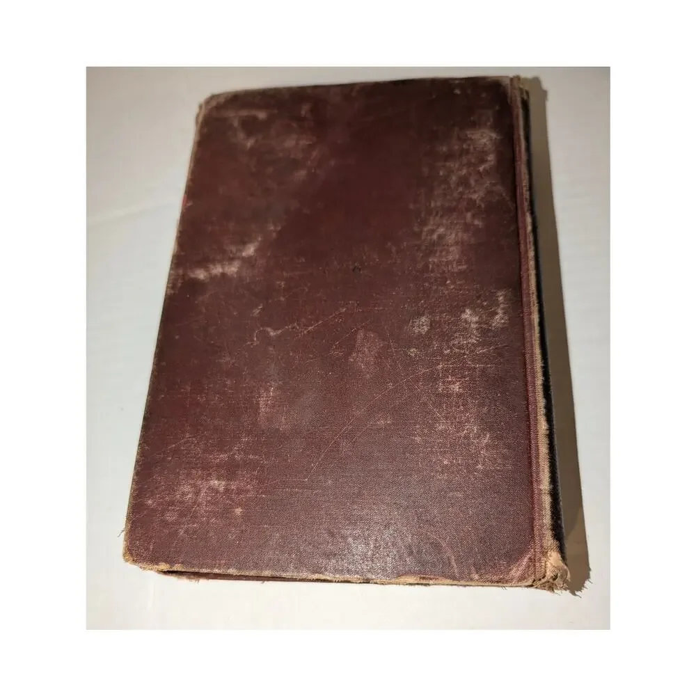 Antique 1890 Down the Bay Joe and I on Salt Water Belford Clarke HC Book